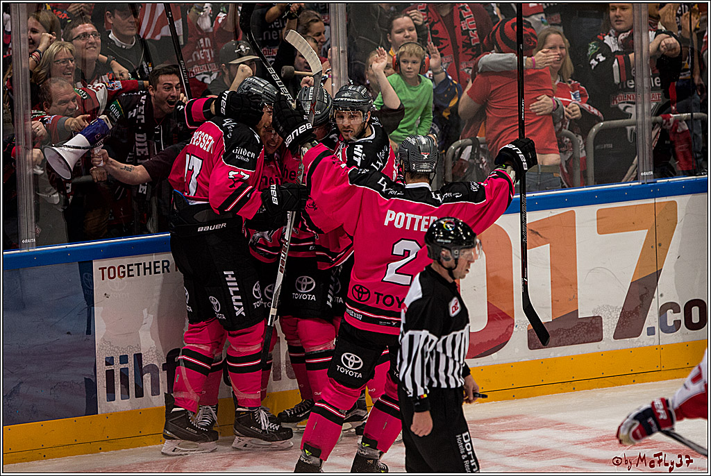 Koelner Haie - Adler Mannheim, 30.10.2016